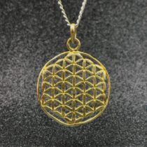 Flower of Life Necklace