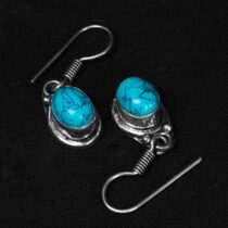 Teardrop Stone Earrings