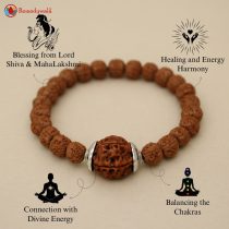 7 Mukhi Rudraksha Bracelet